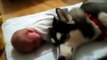 Crazy Dog Sings Along When Baby Cries - MUST SEE!