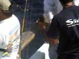 Tuna Fishing on Excel in Mexico - Other Fish Catches