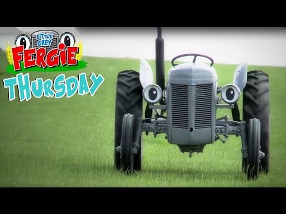 Thursday with Fergie | Little Grey Fergie | ZeeKay Junior