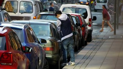 Thieves break into a parked car to steal some bags.