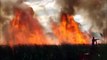 Incêndio em plantação de cana de Linhares