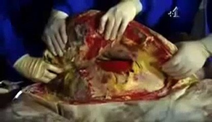 Jamie Oliver Eat To Save Your Life