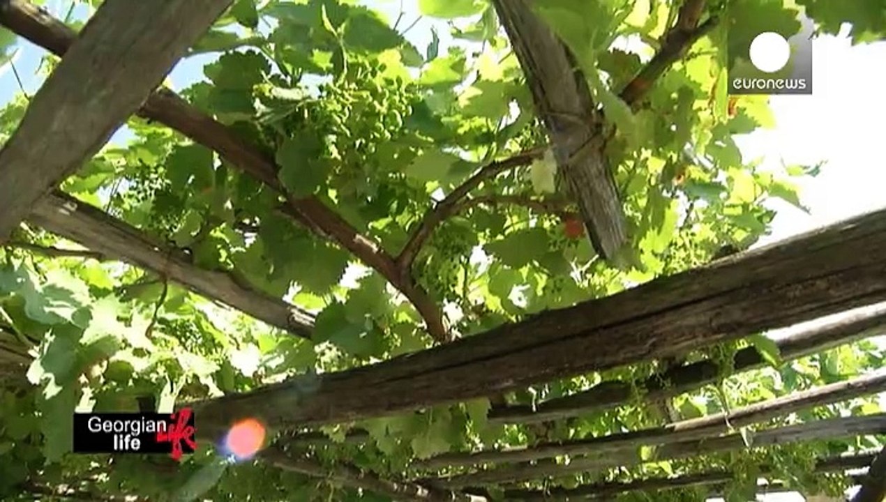 La Kakhétie en Géorgie, berceau du vin