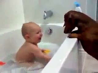 Dog Is Baby's Best Friend - Very Cute