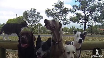 Voici l'exemple parfait de la complicité père et fille