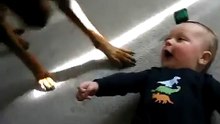 Cutest Baby And Rottweiler Dog Are Best Friends - Amazing