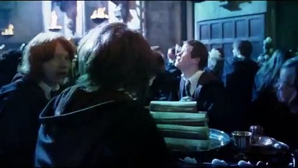 Merlin & Harry Potter crossover | Fireflies