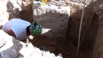 Tomba dell'Aryballos, gli scavi e i reperti