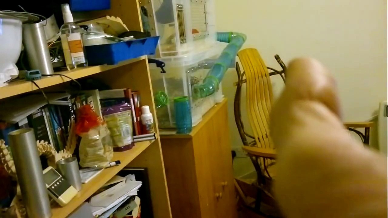 Millie Squeaking?! [Caution: my voice may be loud]