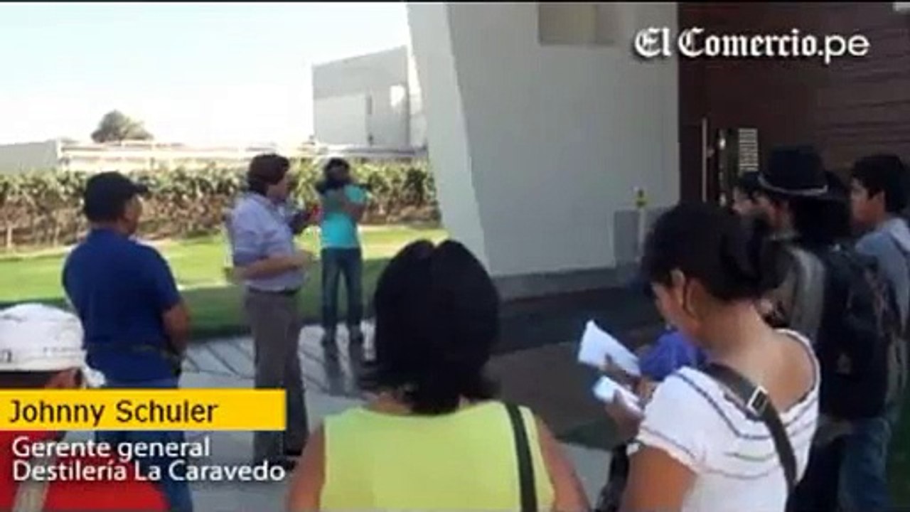 VIÑEDO EN ICA PERU - TACAMA ICA