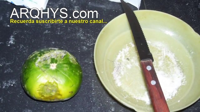 ¿Como matar las cucarachas?: 5 remedios caseros para eliminar las cucarachas en la casa