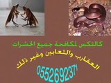 شركة مكافحة حشرات بالمدينة المنورة وينبع 0552692371(كالتكس)