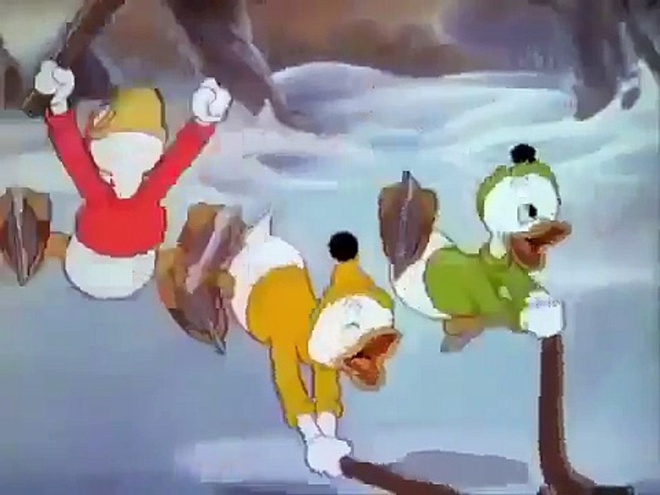 Donald Duck The Hockey Champ Disney Cartoons Disney Cartoon Classic HQ
