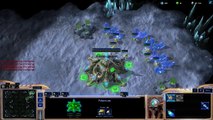 SC2 1v1 : PvZ : tu comptais vraiment hatch 1st ?
