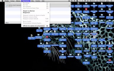 Tutoriel : lancer des applications windows sur mac SANS émulation