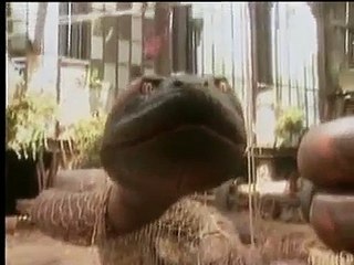 Making-Of "ANACONDA" (FR) 1997