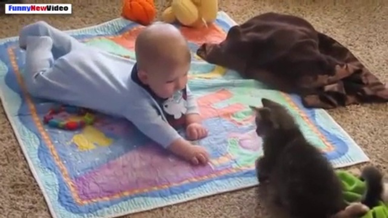 Funny Videos Of Cats And Babies Compilation 2015
