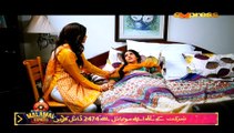 Dil Hi To Hai Episode 17 HQ Part 2