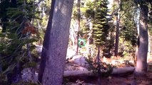 Bigfoot Sasquatch Sighting in Lake Tahoe 2012