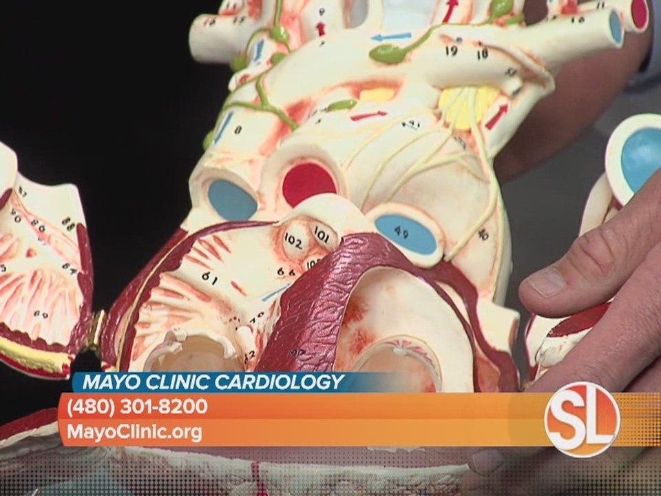 Mayo Clinic has heart failure treatment options