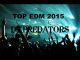 Top EDM 2015 - DJ PREDATORS