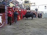 Gestalgar algun recorte bueno toros y vacas fiestas taurinas  10 02 13 El Legionario Solitario