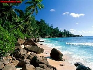 Bashment972 remix my biff humps