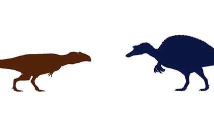 PDFT - Giganotosaurus vs Spinosaurus