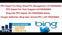  91-7503020504 Bing PPC Expert | Bing PPC Professional for Tech Support
