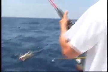 Bottom Fishing for Red Snapper and Groupers