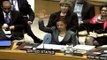 US Vetoes UN Settlement Vote 2011