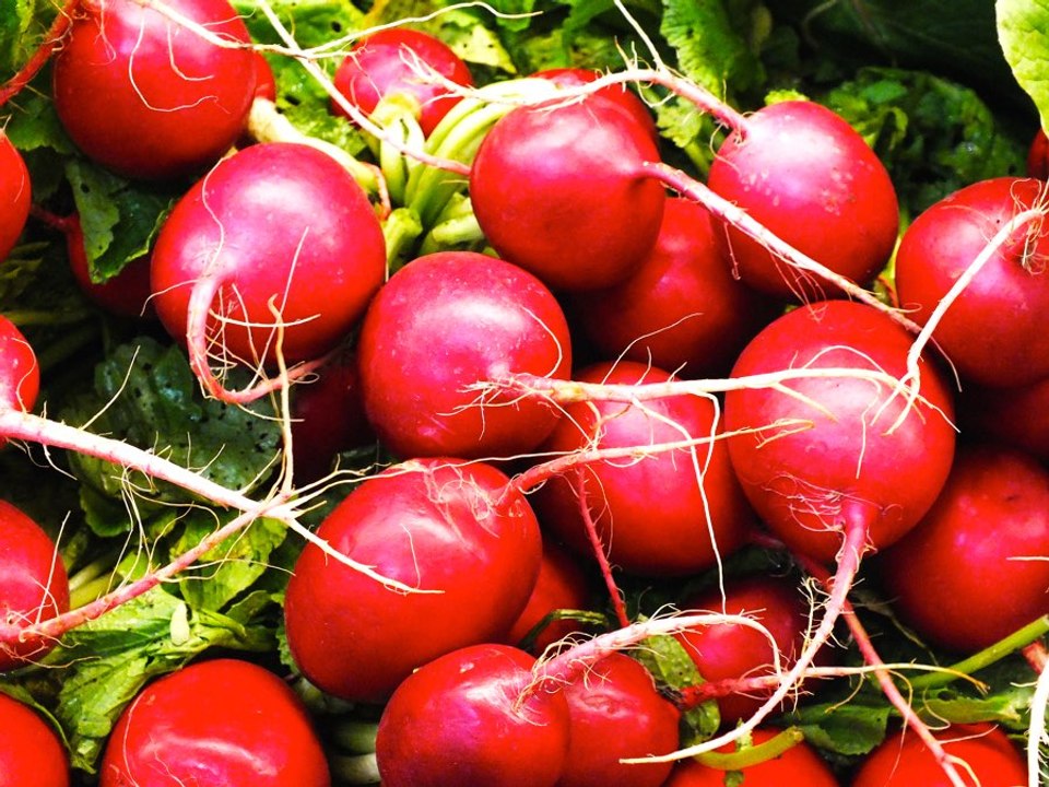 Untrendy Diet Foods
