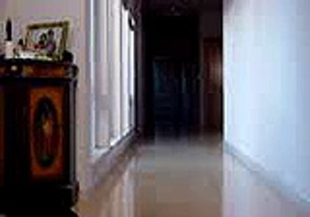 Four Dogs Running Down the Hall