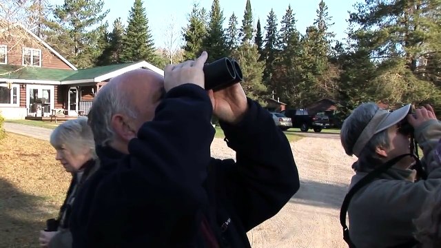 Bird watchers spot Northern Flickers and a Ring-necked Pheasant