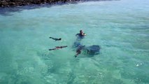 Swimming with sea lions Isla Lobos, Galapagos