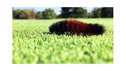 Shot on iPhone 6 by Bryan L.