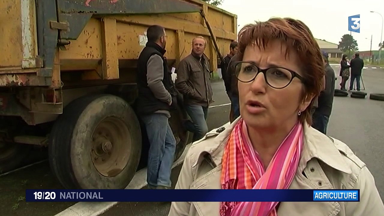 Le nouveau coup de colère des éleveurs bovins