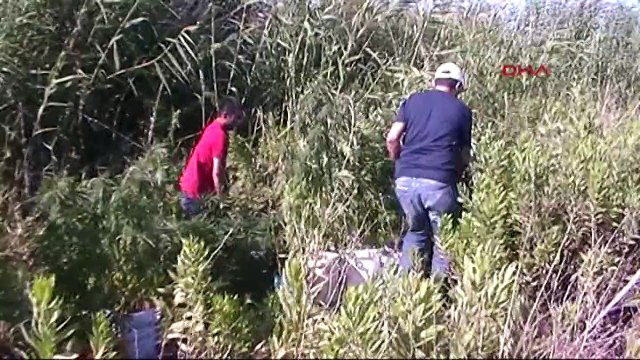 Hintkeneviri ekili araziyi böyle imha ettiler