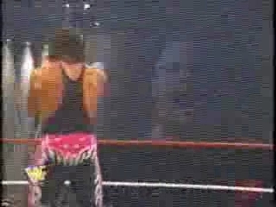 Bret Hart Raw Promo
