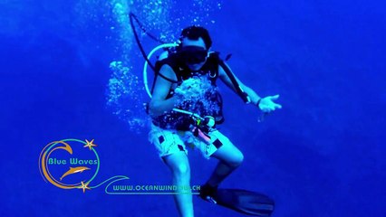 Just another day at the office...