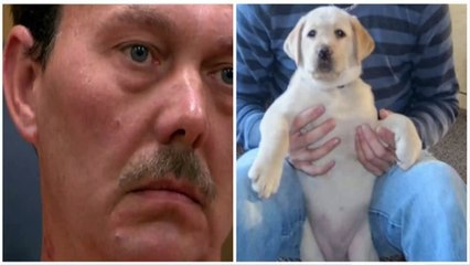 HIZO EXPLOTAR A SU PERRA CON UNA BOMBA. Christopher Dillingham. No será condenado