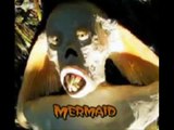 Mermaids - Real or not?