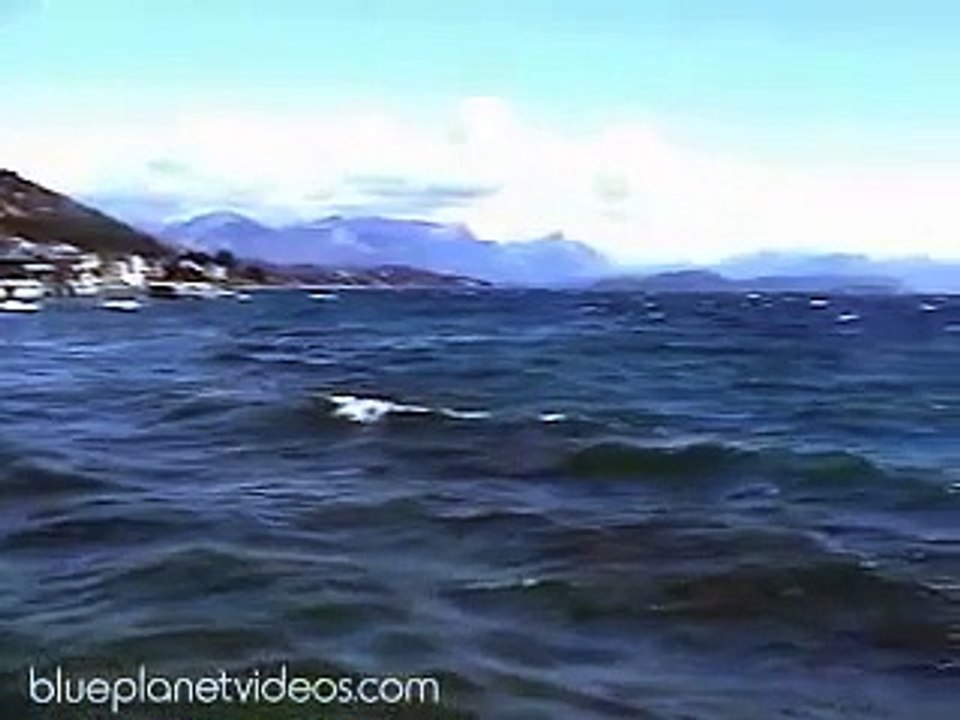 Patagonia