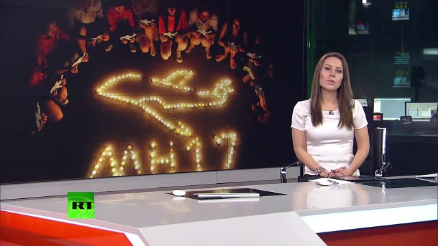 Нет достоверной информации о том, что MH17 был сбит ракетой, запущенной ЗРК «Бук»