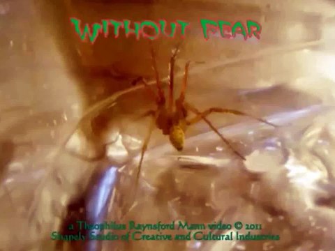 Without Fear 130921, music “Gates of Heaven #2”.