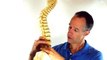 Herniated Disc Pain Relief Stretches - Back Pain Stretches