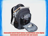 STM Small Revolution Backpack Fits Most 13 Screens Carbon/Black