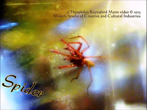 Spider 130921, music “The Day of Truth”