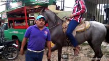 LOS TOSTILOCOS EN EL JARIPEO MUCHAS BOTANAS BEBIDAS Y EL MEJOR HAMBIENTE DENTRO DE LA FIESTA CHARRA EN MEXICO JUNIO 2015