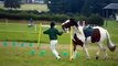 South Trent Pony Club Mounted Games Team **PC CHAMPS 2010**